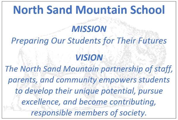 NSM Mission Statement and Vision